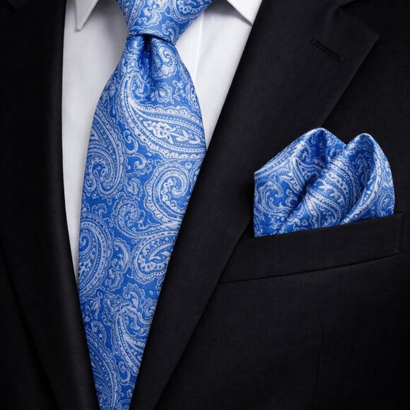 Other - Blue & White Paisley Necktie Set